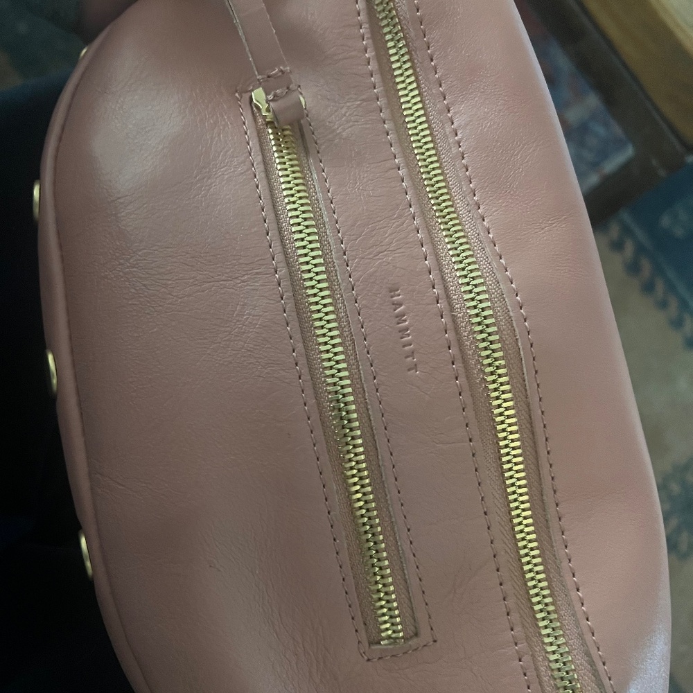 Hammitt Charles Medium Crossbody Bag Pink Sands